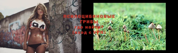 прущая мука Баксан