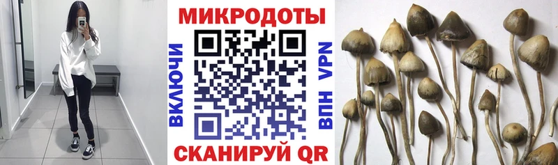 Галлюциногенные грибы Psilocybe  закладки  Красноуральск 